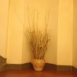 Benivieni Hotel 3*